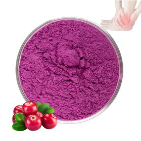 Cranberry Extract - Manufacturer ISO Certified 99% Food Grade Cranberry Juice Powder