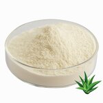 Aloe Vera Powder - Manufacturer 100% Organic Freeze Dried 100X 200X Cosmetic Grade