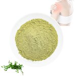 Ivy Extract Powder - Manufacturer 100% Natural Hederagenin Glycosides Pure Extract