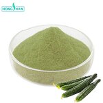 Cucumber Powder - Manufacturer 100% Natural Freeze Dried Cucumber Juice Powder