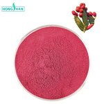 Cactus Fruit Powder - Manufacturer 100% Natural Extract Cactus Fruit Juice Powder