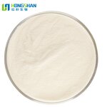 Digestive Enzyme - Manufacturer High Quality Natural Protein Digestion Aid Enzyme