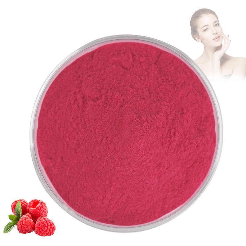 Raspberry Powder - Manufacturer 100% Pure Natural Premium Raspberry Juice Powder