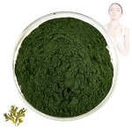 Fucus Vesiculosus - Manufacturer 100% Natural Pure Extract for Cosmetics Powder