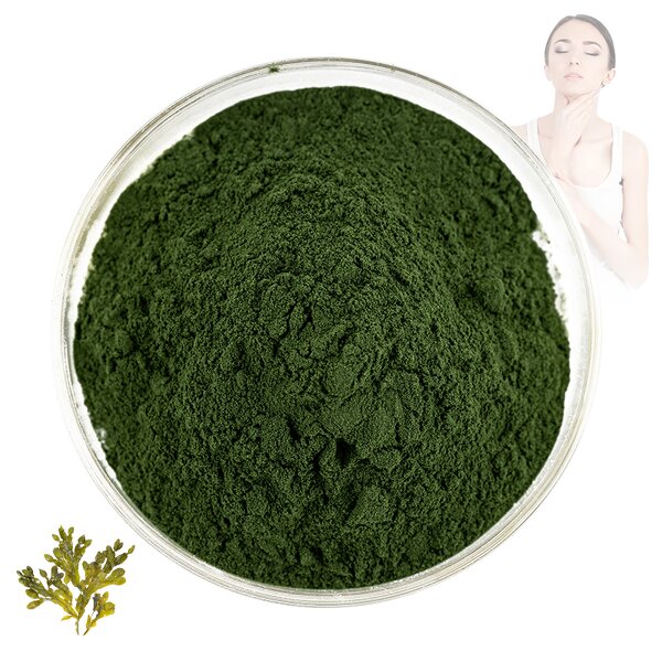 Fucus Vesiculosus - Manufacturer 100% Natural Pure Extract for Cosmetics Powder
