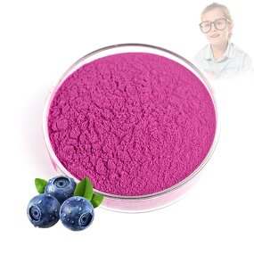 Blueberry Powder - Manufacturer ISO Certified 100% Wild Food Grade Plant Extract