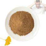 Ginkgo Biloba Extract - Manufacturer 10:1 20:1 Natural Organic Leaf Powder Supply