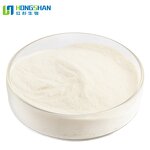 Digestive Enzyme - Manufacturer High Quality Natural Protein Digestion Aid Enzyme