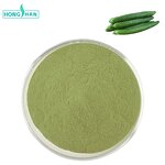 Cucumber Powder - Manufacturer 100% Natural Freeze Dried Cucumber Juice Powder