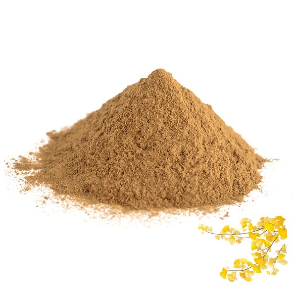 Ginkgo Biloba Extract - Manufacturer 10:1 20:1 Natural Organic Leaf Powder Supply