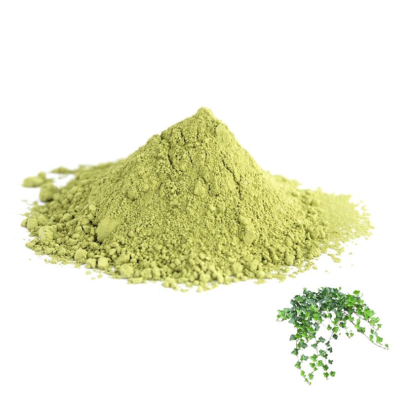 Ivy Extract Powder - Manufacturer 100% Natural Hederagenin Glycosides Pure Extract