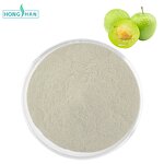 Plum Powder - Manufacturer 100% Organic Freeze Dried Plum Juice Pure Natural