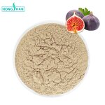 Fig Powder - Manufacturer 100% Pure Natural Premium Fig Juice Powder Quality