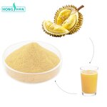 Durian Powder - Manufacturer 100% Bulk Wholesale Food Grade Durian Fruit Powder
