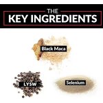 Maca Root Ginseng Capsule Manufacturer - High Quality for Energy Enhancement & Hormone Balance