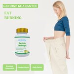 Tenghuang Fruit Capsules Manufacturer - OEM/ODM Healthy Herbal for Adults Slimming