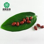 L-Carnitine Softgel Capsules Manufacturer - Private Brand Bulk with Aloe Vera Weight Loss