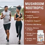 Lion's Mane Capsules Manufacturer - Private Label Supplement Organic for Adults