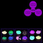 Vine Yellow Fruit Fat Burner Manufacturer - Self-Owned Brand Herbal 60-Piece Softgel for Adults