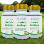 Tenghuang Fruit Capsules Manufacturer - OEM/ODM Healthy Herbal for Adults Slimming