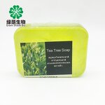 Tea Tree Soap Manufacturer - Private Label Thailand 100% Pure Natural Organic for Oily Skin