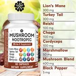 Lion's Mane Capsules Manufacturer - Private Label Supplement Organic for Adults