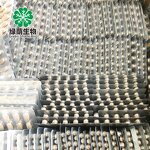 Black Maca Root Capsule Manufacturer - Private Logo Timing Tablet for Vitality & Fatigue Relief