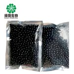 Bee Propolis Softgel Capsules Manufacturer - Private Label OEM for Immune System Support