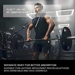 Whey Protein Powder Manufacturer - OEM Custom Labeled High-Content Immune for Adults