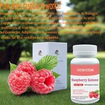 Raspberry Ketone Capsules Manufacturer - Best-Selling 2025 Fat Burner Herbal for Adults