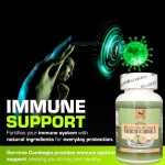 Garcinia Cambogia Capsules Supplier - OEM ODM Fat Burner Diet Pill