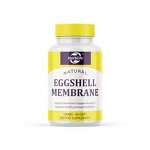 Egg Shell Membrane Capsules - Manufacturer OEM ODM Vegan Joint Bone Energy