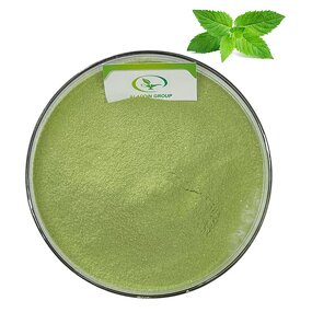 Spearmint Extract - Manufacturer HALAL Food Grade Peppermint Mint Powder