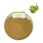 Kakadu Plum Extract - Manufacturer GMP Terminalia Ferdinandiana Fruit Powder