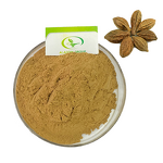 Myrobalan Extract - Manufacturer HALAL Terminalia Chebula Health Supplement