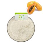 Papaya Fruit Powder - Manufacturer OEM Organic Papain Pure Extract Powder