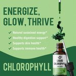 Chlorophyll Drops - Manufacturer OEM ODM Vegan Oral Skin Digestion Health