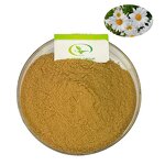 Daisy Flower Extract - Manufacturer HALAL Pure Daisy Extract Powder