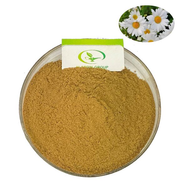 Daisy Flower Extract - Manufacturer HALAL Pure Daisy Extract Powder