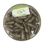 Aloe Vera Extract Powder - Manufacturer HALAL Pure Aloe Extract Natural Powder