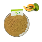 Papaya Extract Powder - Manufacturer HALAL Papain Food Cosmetic Soluble