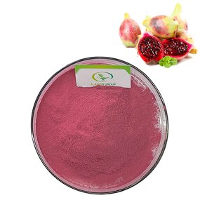 Cactus Fruit Powder - Manufacturer ISO Polysaccharides Prickly Pear Freeze Dried