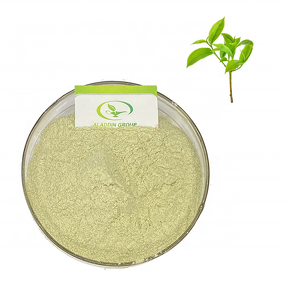 Matcha Green Tea Powder - Manufacturer GMP Hot Selling Instant Pure Powder
