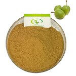Kakadu Plum Extract - Manufacturer HALAL High Quality Pure Fruit Powder