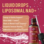 Liposomal NAD+ Drops - Manufacturer OEM ODM Nad Resveratrol Food Grade Liquid