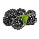 Black Raspberry Powder - Manufacturer Kosher Freeze Dried Pure Extract