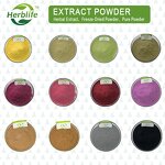 Spearmint Extract - Manufacturer HALAL Food Grade Peppermint Mint Powder