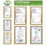 TUDCA Gummy - Manufacturer OEM/ODM 30Serv Milk Thistle Artichoke Probiotics