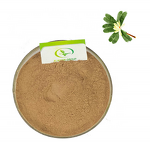 Magnolia Bark Extract - Manufacturer GMP High Quality Pure Bark Extract