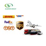 Amla Berry Extract - Manufacturer GMP Phyllanthus Emblica Pure Powder